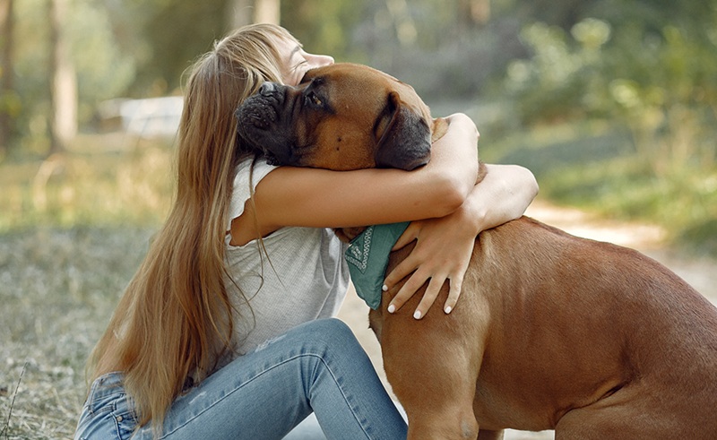 La contagion émotionnelle entre l'homme et le chien