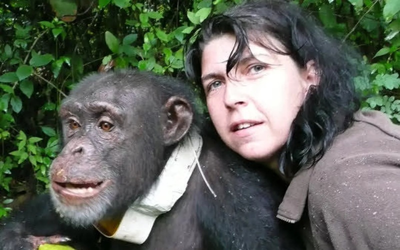 Estelle Raballand Une Française engagée pour la conservation des chimpanzés en Guinée