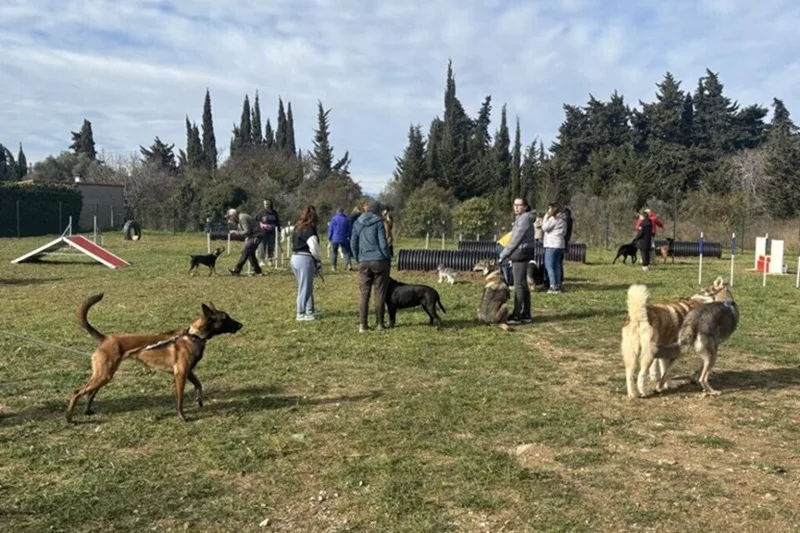 Le Cani Parc de Pia