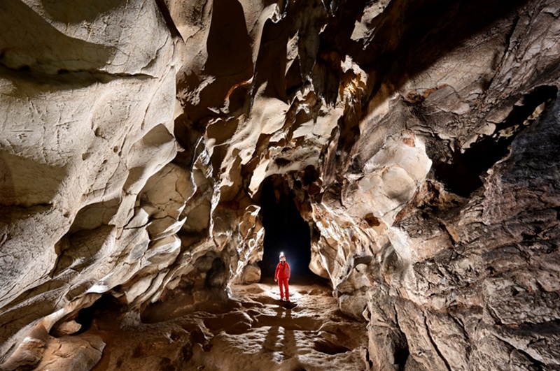 Les chauves-souris, architectes des grottes préhistoriques