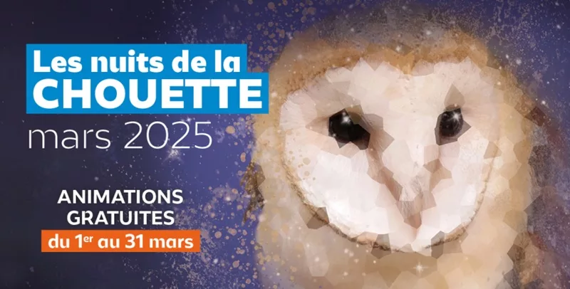 Les rapaces nocturnes à l'honneur Un bilan inédit des Nuits de la chouette de la LPO