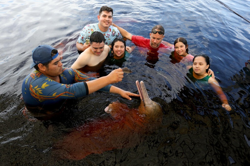 Thérapie par les dauphins au cœur de l’Amazonie un traitement unique pour les personnes handicapées